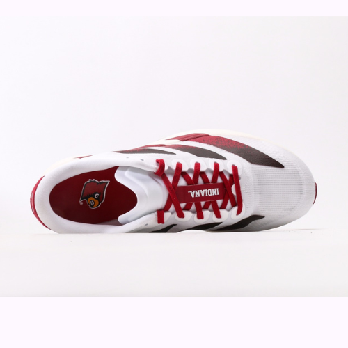 Adidas Adizero Evo SL Indiana