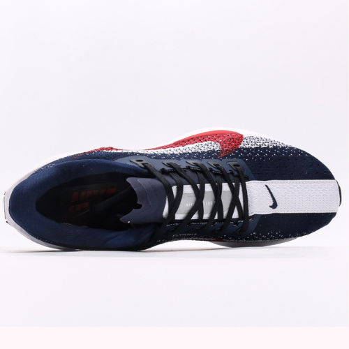 Nike Air Zoom Pegasus Plus