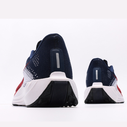 Nike Air Zoom Pegasus Plus